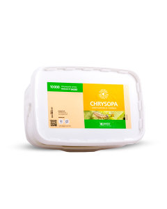 10000x larvas de crisopas Chrysoperla carnea Koppert Chrysopa (6L)
