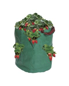 Bolsa / Maceta de plástico para cultivo de fresas y plantas Garland (46x61cm)