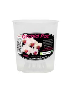 Maceta contenedor Growth Technology Transparente para Orquídeas POCL9M (9cm)