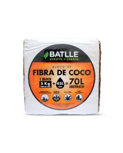 b/l/blockdecoco.1.jpg