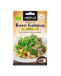 b/r/brotes-brocoli_1.png