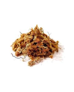 Sustrato Musgo Sphagnum de Chile para Bonsái / Orquídea (150g)