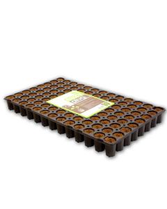 Eazy Plug CT104C Bandeja semillero 104 Alvéolos (54X31X5cm)
