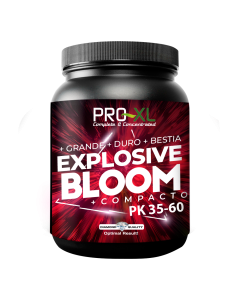 e/x/explosive_bloom_5kg_.png