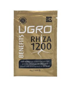 r/h/rhiza.jpg