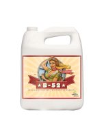 Advanced Nutrients B-52 Booster Suplemento (5L)