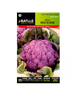 s/e/semillas-hort_colas-de-batlle---br_culi-violet-de-sicile.png