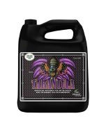 t/a/tarantula_1.jpg