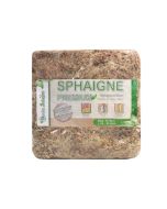 Muschio di sfagno per Bonsai / Orchidee del Cile (1kg)