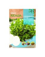 Saatscheibe von Rocalba - Grüne Minze (Ø10cm)
