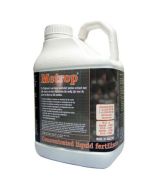 m/e/metrop-root-5l.jpg