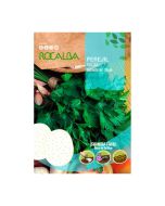 Saatscheibe von Rocalba - Italienische Riesenpetersilie (Ø10cm)