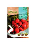 Nastro di semi Rocalba - Ravanello Tondo Rosso (5m)