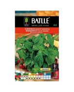 s/e/semillas_arom_ticas_battle_-_albahaca_gigante_genovesa_seeds_-_20-40cm__2_2.jpg