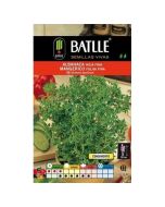 s/e/semillas_arom_ticas_battle_-_albahaca_hoja_fina_seeds_-_30cm__2_1.jpg