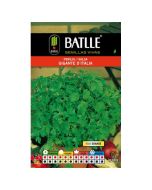 s/e/semillas_arom_ticas_battle_-_perejil_gigante_de_italia_seeds_-_35cm__2_1_1.jpg