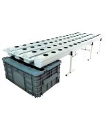 Terra Aquatica Growstream 60 Sistema de cultivo aeropónico V2.0 (60)