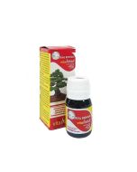 Mistral Bonsái Vitabonsái  Biostimulanz-Konzentrat Stärkung Bonsai / Pflanzen (30ml)