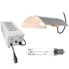 k/i/kit_de_luz_balastro_hydrofarm_bombilla_xtrasun_hps_grolux_reflector_250w__1.jpg
